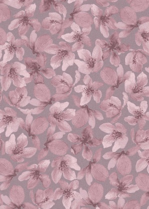 Name It Kids tops 2tk