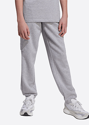 adidas sporta bikses