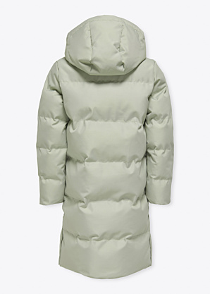 Only ziemas metelis Irene