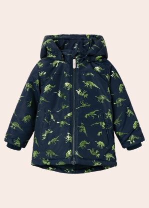 Name It Mini Outerwear pavasara-rudens virsjaka Max