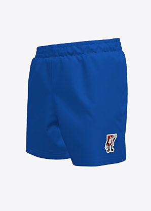 Пляжные шорты Patch Volley Short Nike