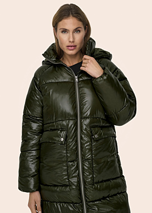 Only ziemas metelis Sky