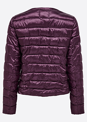 Only pavasara-rudens virsjaka Vega