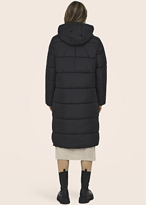 Only ziemas metelis Montana