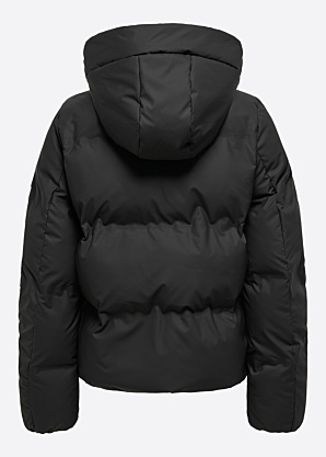 Only Ziemas virsjaka Lea