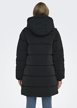 Only ziemas metelis Dixie