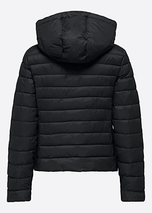 Only pavasara-rudens virsjaka Tahia