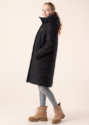 Didriksons ziemas metelis Sandra