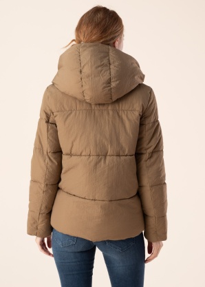 Only Ziemas virsjaka Newsydney