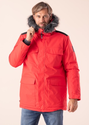 Huppa virsjaka Aron 2