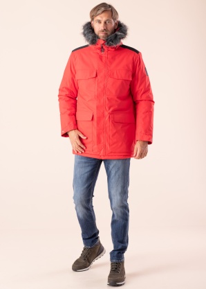 Huppa virsjaka Aron 2