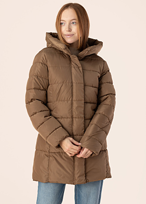 Only ziemas metelis Lina