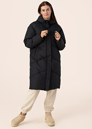 Noisy May ziemas metelis Tenna