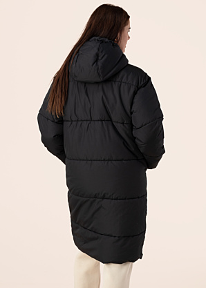 Noisy May ziemas metelis Tenna