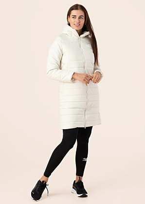 Puma ziemas metelis Ess