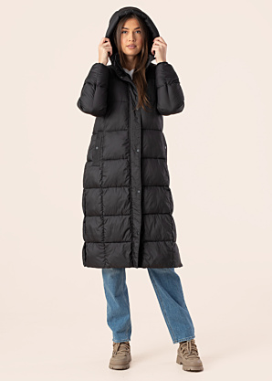 Saki ziemas metelis Bernice