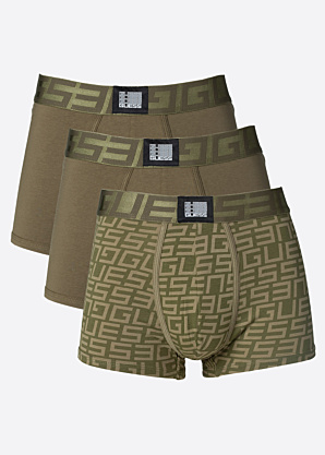 Guess bokseršorti kastītē 3pac Idol