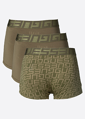 Guess bokseršorti kastītē 3pac Idol