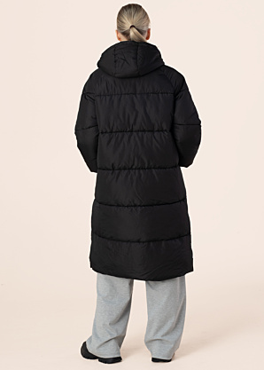 Noisy May ziemas metelis Flora