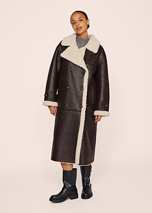 Vila ziemas metelis Risi