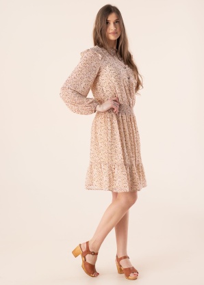 Fransa kleita Shimmer