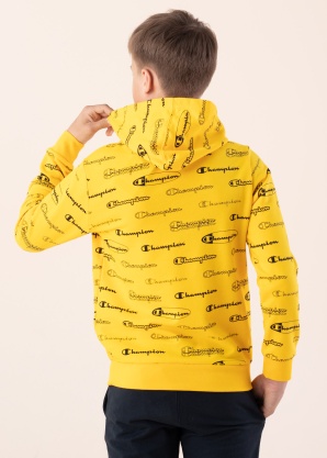 Кофта Champion