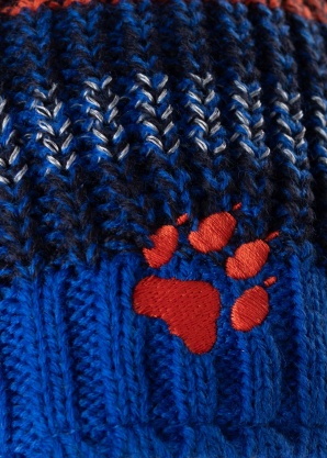 Jack Wolfskin ziemas cepure Stormlock