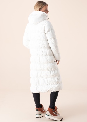 Huppa ziemas metelis