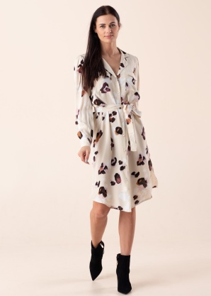 Dranella kleita Eshelena