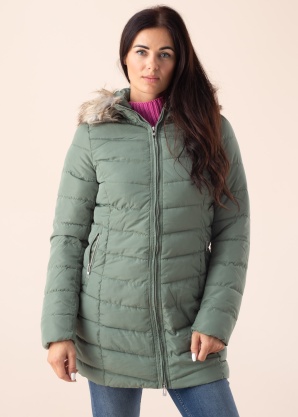 Only ziemas metelis Newellan