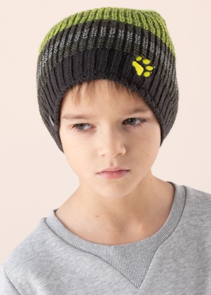 Jack Wolfskin ziemas cepure Stormlock