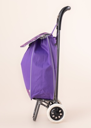 Baggage iepirkumu soma uz riteņiem