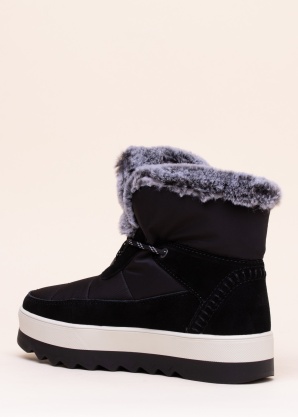 Cougar puszābaki Vibe