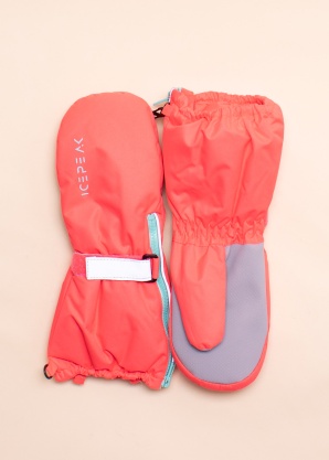 Зимние перчатки Halfmoon Icepeak