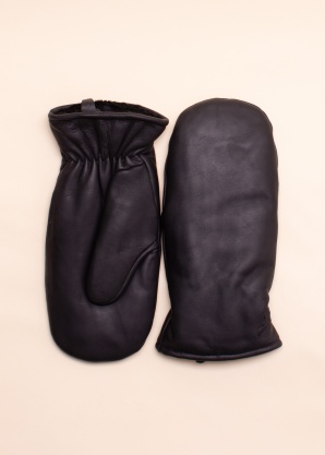 Hofler ādas dūraiņi