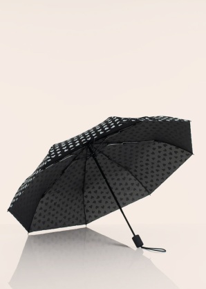 Lasessor lietussargs