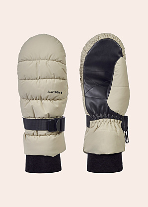 Рукавицы Hoyleton Icepeak