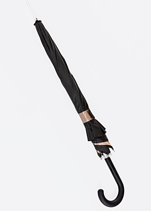 Lasessor lietussargs