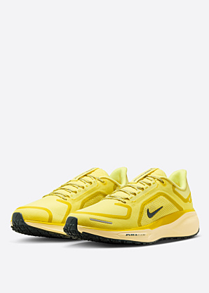 Nike apavi skriešanai Air Zm Pegasus 42
