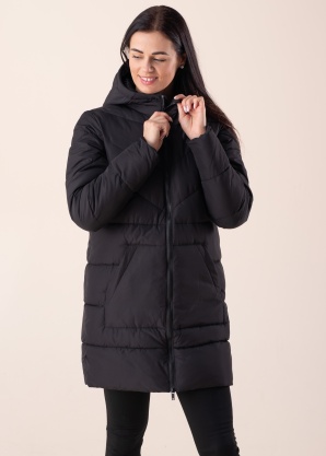 Noisy May ziemas metelis Dalcon