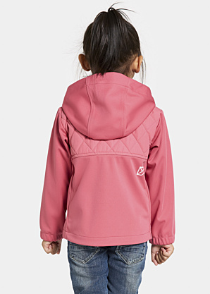 Didriksons pavasara-rudens virsjaka Briska