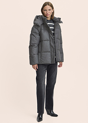 b.young Ziemas virsjaka Azua