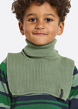 Didriksons šalle Delfinen  2