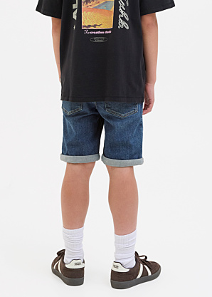 Jack & Jones džinsa bikses Rick