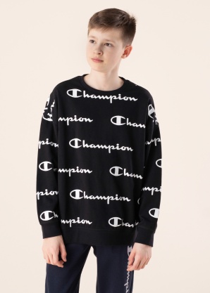 Champion džemperis