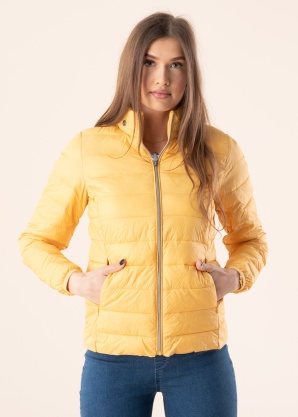 Fransa pavasara-rudens virsjaka Papadding