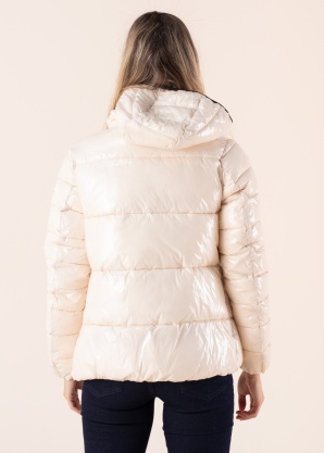 Champion pavasara-rudens virsjaka